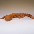 Brown articulated lizard