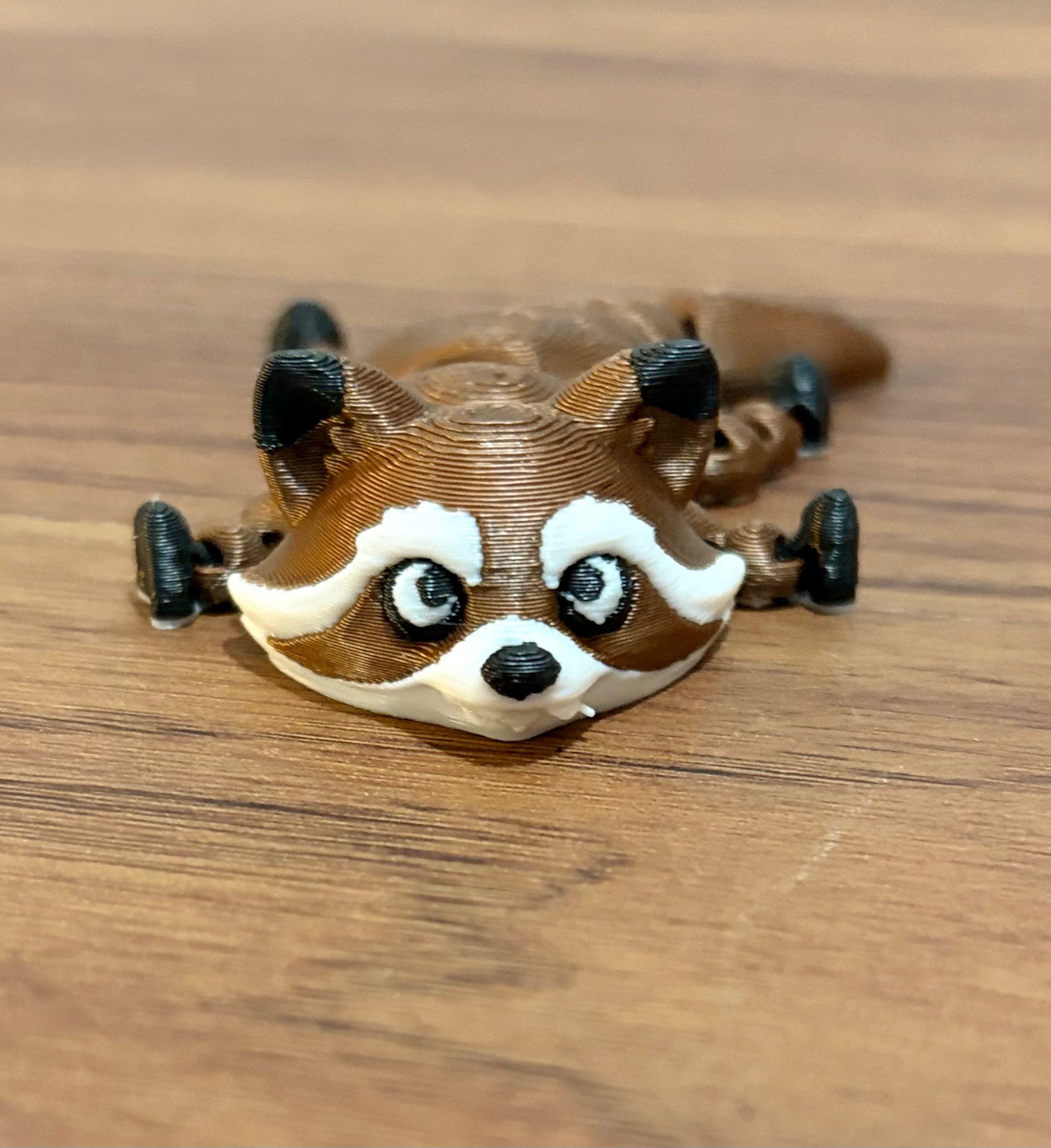 Raccoon
